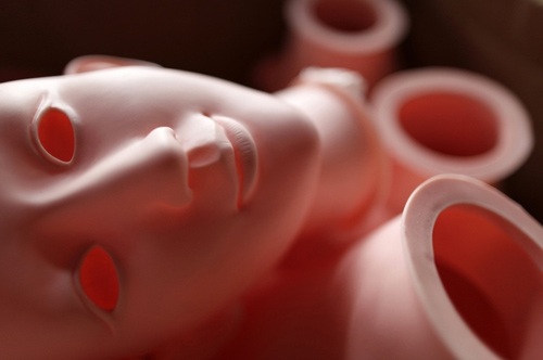 Cảnh khó tin về công nghiệp búp bê tình dục - 1 Các loại búp bê đều làm bằng nhực PVC và cao su