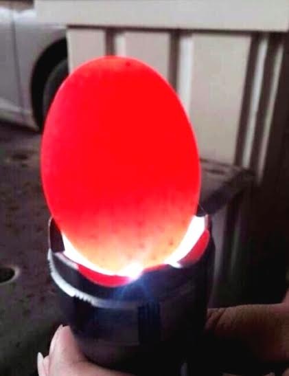 Ôm nợ vì đua nhau mua đá lạ cho thương lái Trung Quốc