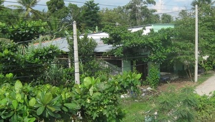 Đất vườn trong quy hoạch dự án đều phải bỏ hoang. Ảnh: Thanh Hải