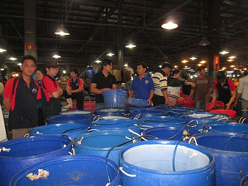 Hàng Tết sẽ đầy ắp chợ - 1 Hàng Tết sẽ đầy ắp chợ