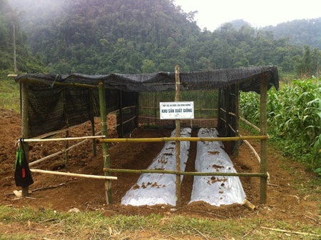 Tập đoàn GFS – Vươn tầm thành công mới