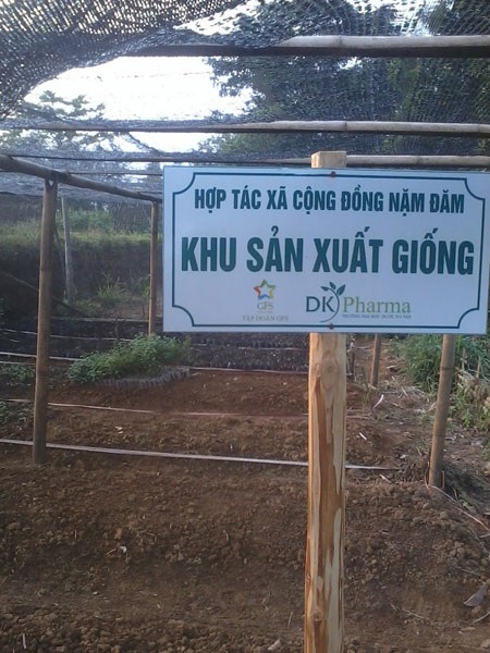 Tập đoàn GFS – Vươn tầm thành công mới