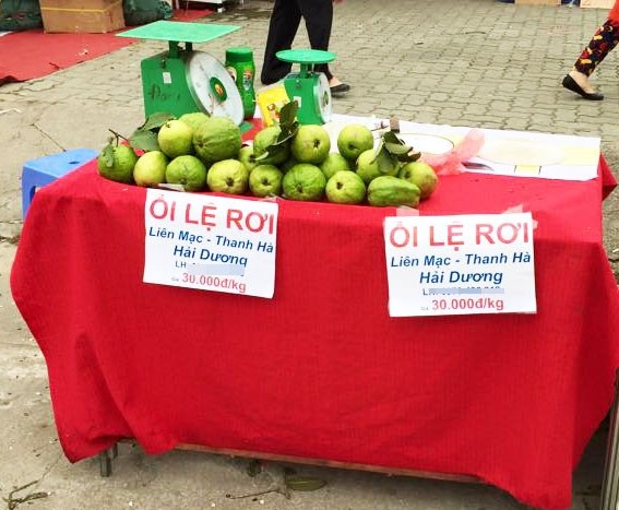 Đại gia mua chè sen chục triệu, cây tiền tỷ chơi Tết - 4 Quầy ổi Lệ Rơi đắt hàng nhờ cái tên độc lạ.