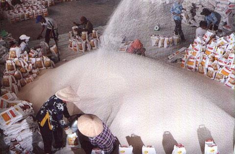 Gạo Việt "thoát" Trung: Sang châu Phi vẫn "mua rẻ bán rẻ" - 1 Bộ Công thương đẩy mạnh xuất khẩu gạo sang Châu Phi