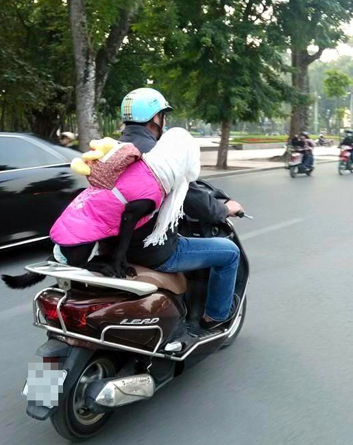 Thú cưng mặc áo phao, đeo kính, quàng khăn... sành điệu trên phố