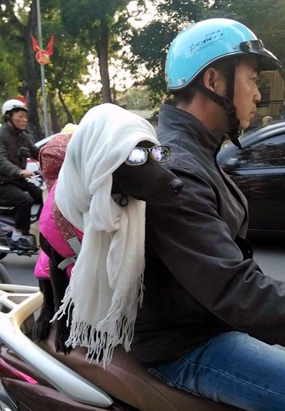 Thú cưng mặc áo phao, đeo kính, quàng khăn... sành điệu trên phố