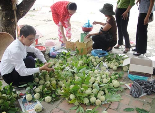 Chiêu hiểm thương lái Trung Quốc: Mua rễ hồ tiêu, hoa thanh long - 11 Chiêu hiểm thương lái Trung Quốc: Mua rễ hồ tiêu, hoa thanh long