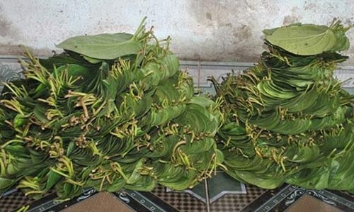 Chiêu hiểm thương lái Trung Quốc: Mua rễ hồ tiêu, hoa thanh long - 2 Chiêu hiểm thương lái Trung Quốc: Mua rễ hồ tiêu, hoa thanh long