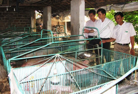 Đọc những thông tin kinh tế - tài chính mới nhất trên 