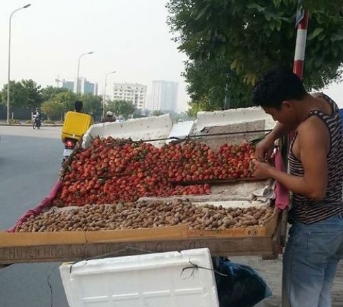 Nhuộm màu, tẩy tem Trung Quốc thành đặc sản Đà Lạt - 3 Dâu Đà Lạt được bày bán ở đường phố Hà Nội.