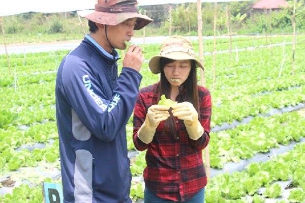 "Làng Thần Kỳ" và giấc mơ hội nhập - 2 Chuyên gia và thực khách có thể ăn rau ngay tại vườn trồng