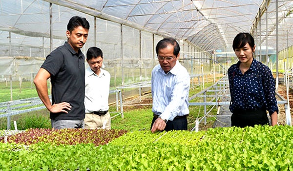 "Làng Thần Kỳ" và giấc mơ hội nhập - 1 Chuyên gia và thực khách có thể ăn rau ngay tại vườn trồng