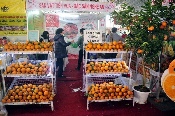  Cam Vinh là một đặc sản mang đậm hương vị của người xứ Nghệ. Giá bán là 90.000 đồng/kg.