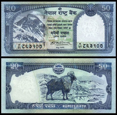 6 loại tiền lì xì độc được săn lùng nhất Tết 2015 - 2 Tiền dê Nepal thật giá 80.000 đồng/tờ đang tạo cơn “oanh tạc” shop bán