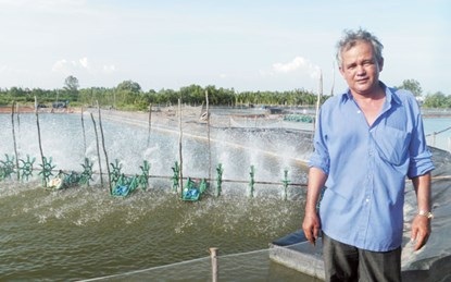 Những người vắt đất ra... vàng - 1 Nhờ nuôi 7 ha ao tôm, Năm Xuân thu hàng tỷ đồng/năm.