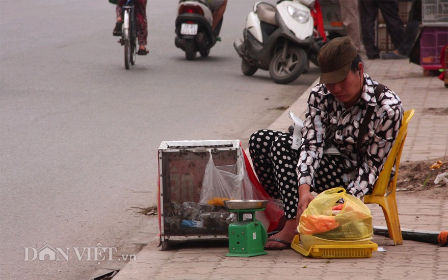 Rết được bán với giá 30-40.000 đồng/con nhỏ và từ 50-60.000 đồng/con to.