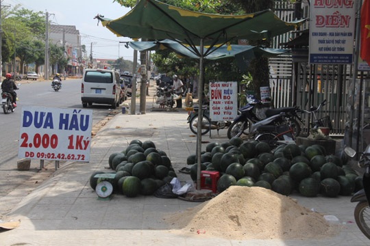 Tiểu thương thuê xe ôm đổ bỏ dưa hấu “khủng” - 1 Đọc những thông tin kinh tế - tài chính mới nhất trên