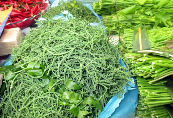 Hoa của rau ngót rừng còn đắt và hiếm hơn