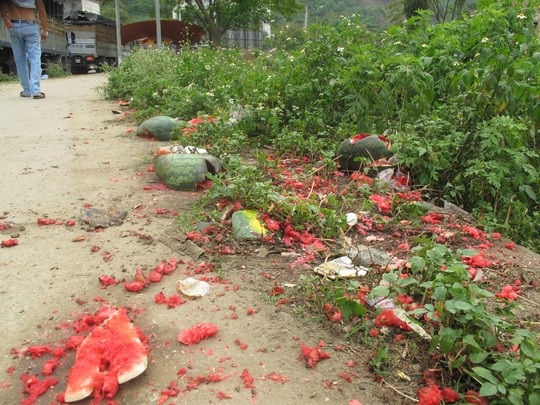 Hàng trăm xe dưa hấu, thanh long ùn tắc ở cửa khẩu Tân Thanh - 9 ..và vứt đầy vỉa vè cũng như bên vệ đường ở ngay bên hông cửa khẩu Tân Thanh.