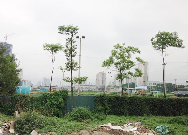 Đất vàng ám ảnh: Dự án dở dang, hai sếp lớn đi tù - 4 Cỏ hoang mọc um tùm bên tường rào