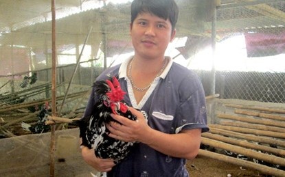 Chàng trai đắm say với Quý Phi... gà - 1 Anh Trần Văn Hợi là người đưa giống gà Quý Phi ra miền Bắc. Ảnh: Hồng Vũ