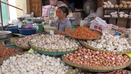 Nông sản Trung Quốc chiếm chợ đầu mối - 1 Nông sản Trung Quốc vẫn được bày bán nhiều ở các chợ dân sinh. Ảnh: Phạm Anh
