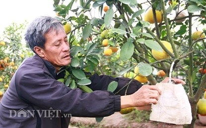 Những lão nông triệu phú "già mà… ham" - 3 Ông Lê Đức Giáp bên cạnh vườn cảnh bạc tỷ của mình. (Ảnh: Hồng Liên/ Dân Việt).