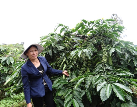 Cà phê Việt nhìn từ những cam kết của Nestlé - 2 Phó Chủ tịch Tập đoàn Nestlé phụ trách khu vực Châu Á, Châu Đại Dương và Châu Phi