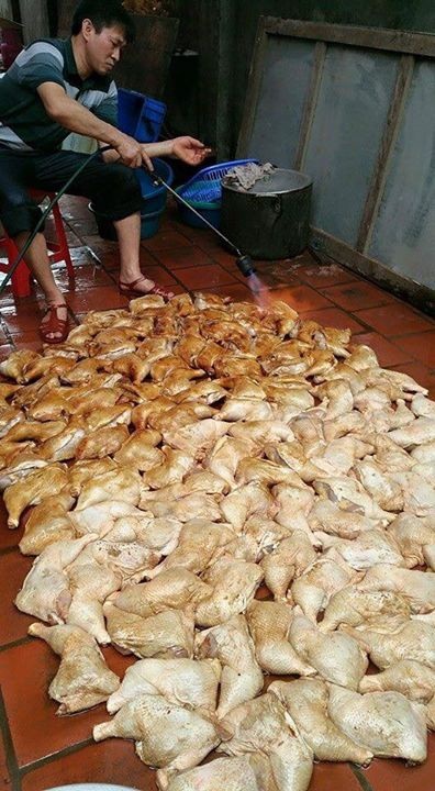 Rợn người: Đèn khò nướng trăm đùi gà trên nền nhà bẩn - 1 Đọc những thông tin kinh tế - tài chính mới nhất trên