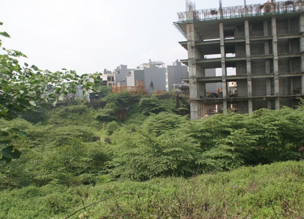 Cảnh um tùm tại dự án bỏ hoang