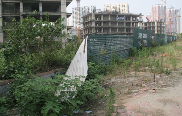 Không có cảnh báo nguy hiểm