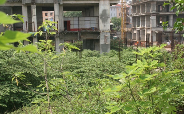 Một phần diện tích bên ngoài trở thành chỗ chứa rác thải