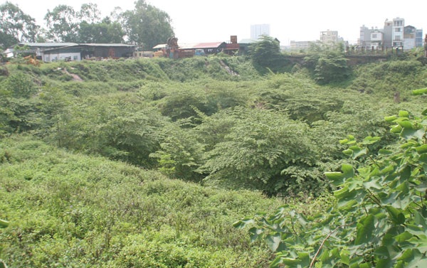 Hàng nghìn mét vuông dưới mặt đất như một hố sâu, cây cối mọc chen lấn