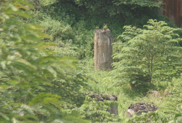 Trụ bê tông bị rêu bám theo thời gian