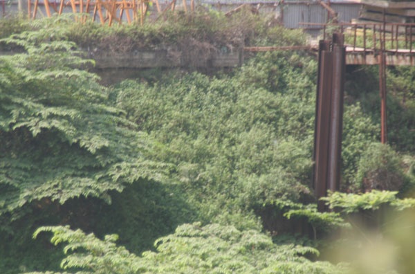 Nhiều cọc sắt hoen rỉ