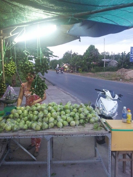 Đến lượt ổi miền Tây chờ "giải cứu" - 2 Ổi ở miền Tây đang bán rẻ như cho. Ảnh: Công Tuấn