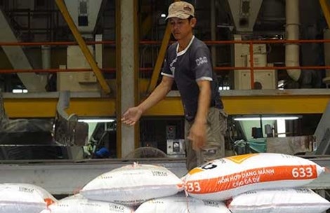 Mất hàng tỉ đồng vì kiểm dịch rườm rà - 1 Mất hàng tỉ đồng vì kiểm dịch rườm rà