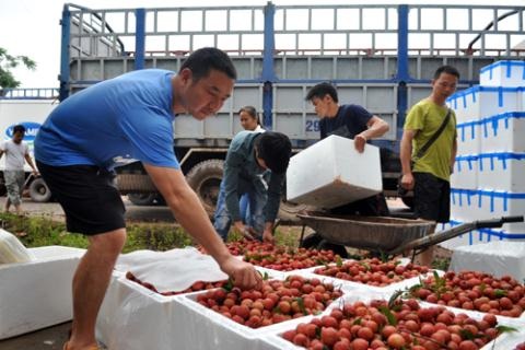 Trái vải Việt Nam có cơ hội đa dạng hoá thị trường