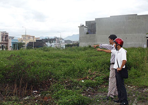 Đội ngũ cò đất đông đảo