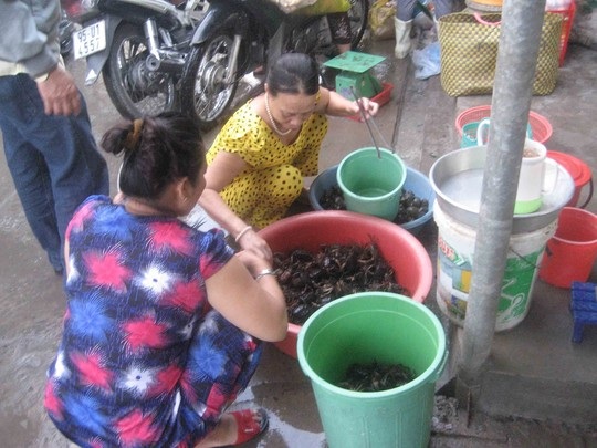 Đỏ mắt tìm mua cua đồng - 3 Do khan hiếm nên ngày càng có nhiều người tìm mua cua đồng ở chợ