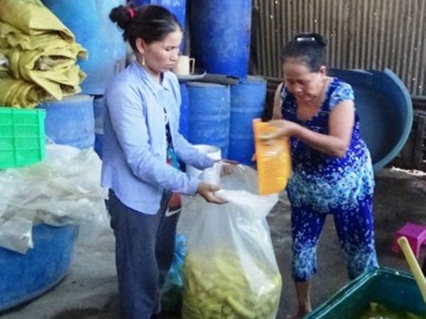 Măng thối “tắm” hóa chất thành măng đặc sản - 1 Bà Lập (bên phải) cùng lượng măng đặc sản vừa ngâm hóa chất