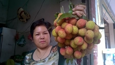 Hà Nội: Vải thiều đầu mùa “hét” giá 90.000 đồng/kg - 1 Vải đầu mua bán tại chợ Ngọc Hà được ra giá tới 90.000 đồng/kg. Ảnh: Đàm Duy