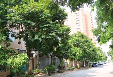 Khu đô thị mới Nghĩa Đô, sức hút của thị trường bất động sản phía tây thủ đô - 2 57 lô biệt thự, KĐTM Nghĩa Đô đã hiện hữu
