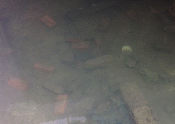 Hầm trở thành nơi sinh sống của cá và nòng nọc