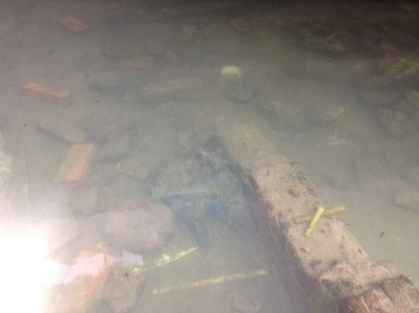 Gạch đá, rác thải trong hầm gây ô nhiễm