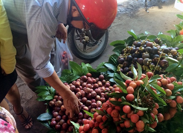 Mận hậu đang tăng giá từng ngày vì vào thời điểm cuối mùa