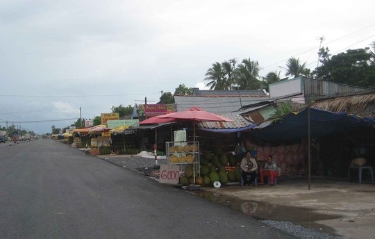 Mít Thái đầy vườn, giá rớt thê thảm - 3 Hàng loạt điểm bán mít dọc quốc lộ 1A đoạn đi qua huyện Phụng Hiệp, tỉnh Hậu Giang