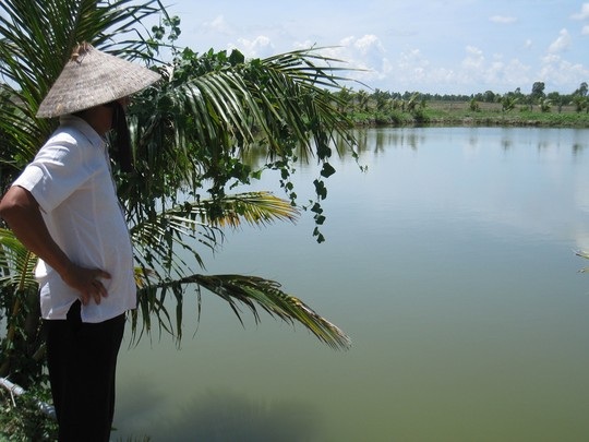 Thương lái gian lận, “cướp" tôm của nông dân - 1 Ông Minh bên ao tôm vừa bị thương lái cân gian lận