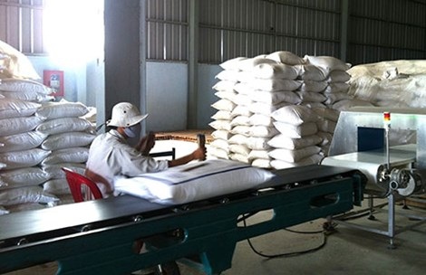 Quá phụ thuộc vào thị trường Trung Quốc, gạo xuất khẩu Việt Nam gặp khó. Ảnh: QH