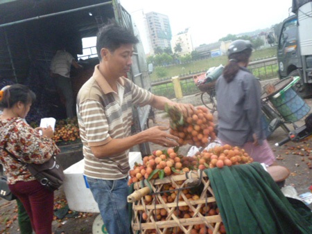Vải thiều bán buôn tại cửa khẩu quốc tế Lào Cai chỉ có 9.000 đồng/kg - 4 Đọc những thông tin kinh tế - tài chính mới nhất trên